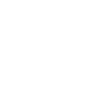 Madmonkey Studio
